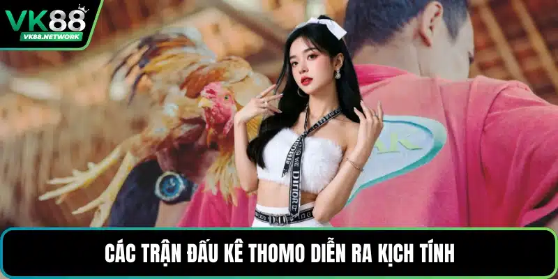 Các trận đấu kê thomo diễn ra kịch tính