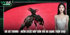 đá gà thomo