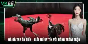 đá gà tre ăn tiền
