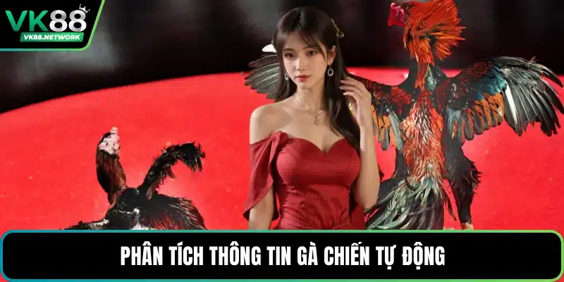 Phân tích thông tin gà chiến tự động