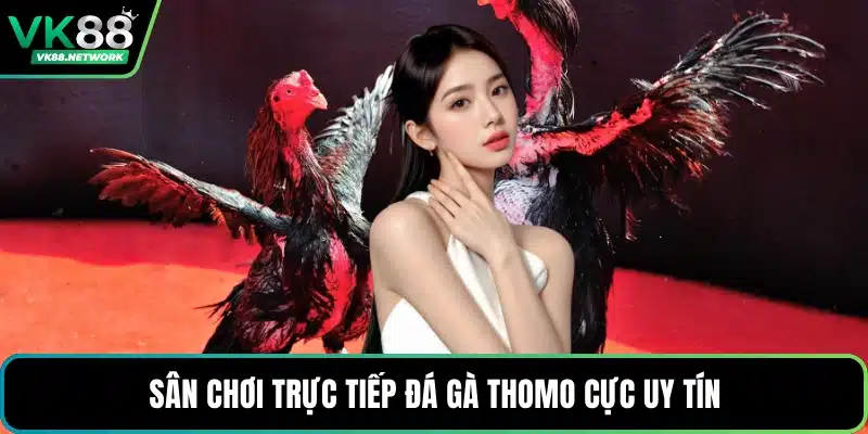 Sân chơi trực tiếp đá gà thomo cực uy tín