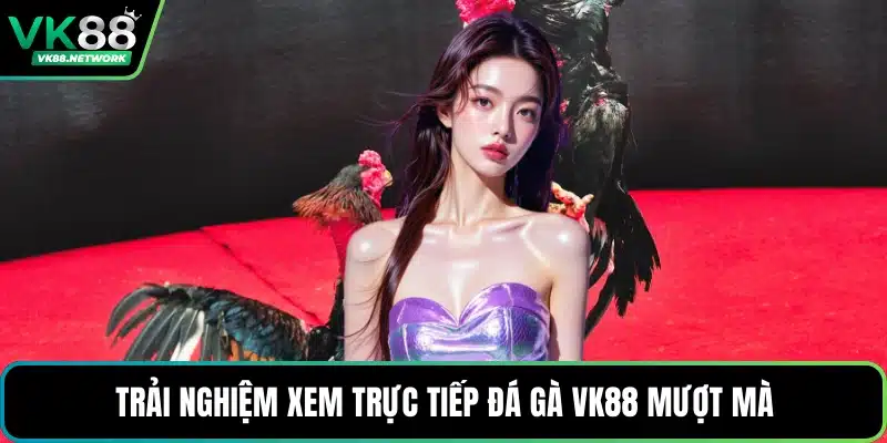 Trải nghiệm xem trực tiếp đá gà VK88 mượt mà